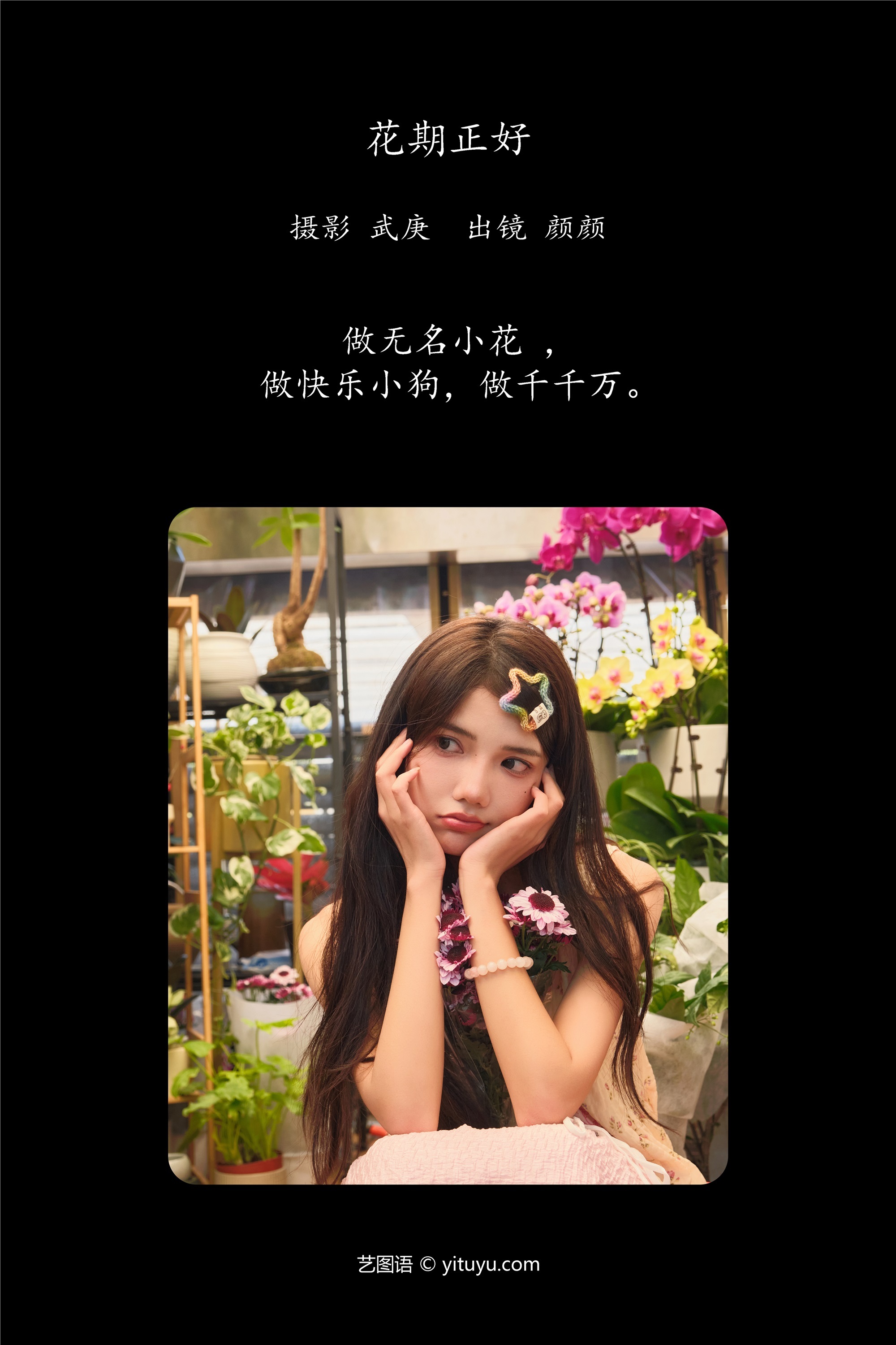 YITUYU艺图语 2025.01.12 花期正好 多米Domy